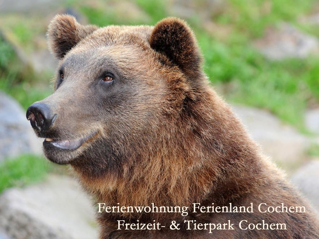 Ferienwohnungen Ferienland Cochem Bruttig-Fankel Bagian luar foto