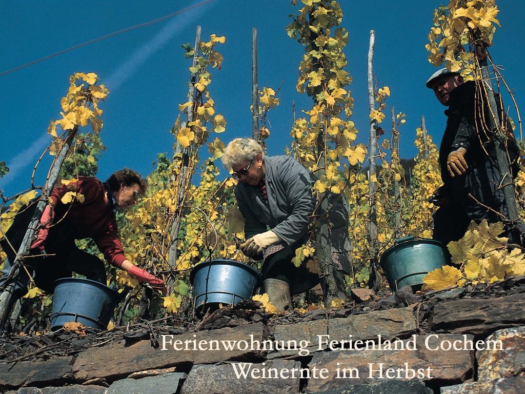 Ferienwohnungen Ferienland Cochem Bruttig-Fankel Bagian luar foto