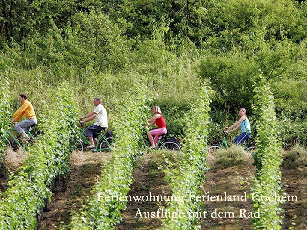 Ferienwohnungen Ferienland Cochem Bruttig-Fankel Bagian luar foto