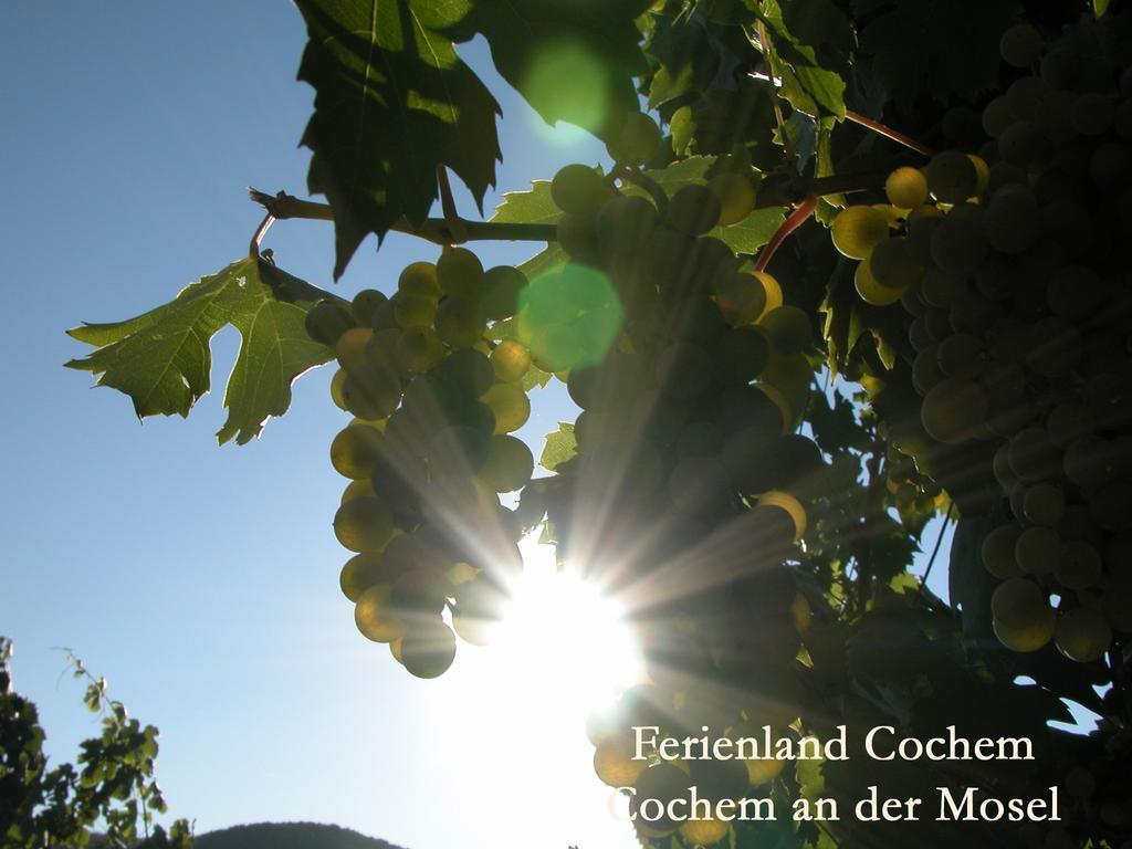 Ferienwohnungen Ferienland Cochem Bruttig-Fankel Bagian luar foto