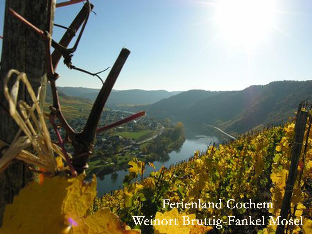 Ferienwohnungen Ferienland Cochem Bruttig-Fankel Bagian luar foto